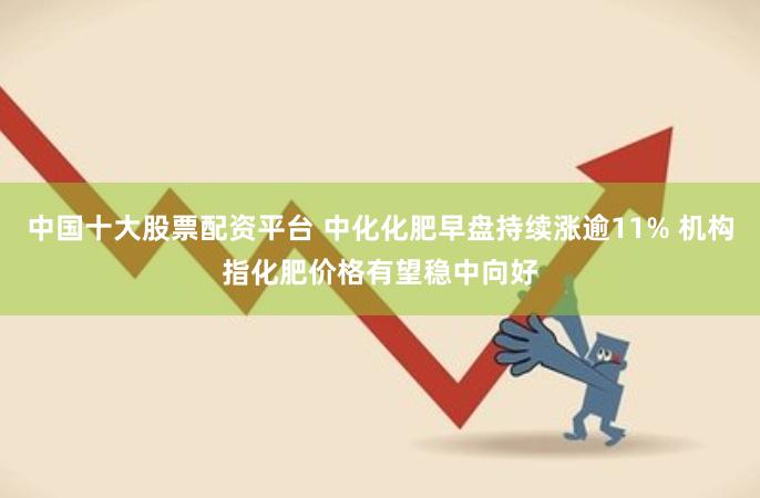 中国十大股票配资平台 中化化肥早盘持续涨逾11% 机构指化肥价格有望稳中向好